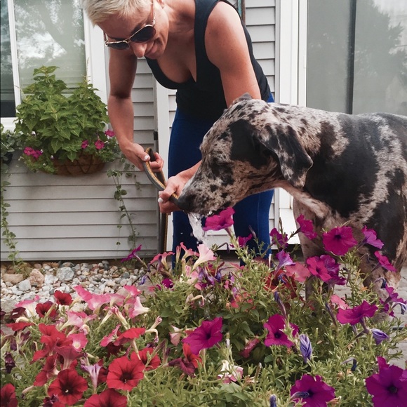 Meet your Posh Ambassador Heidi! - Picture 11 of 13